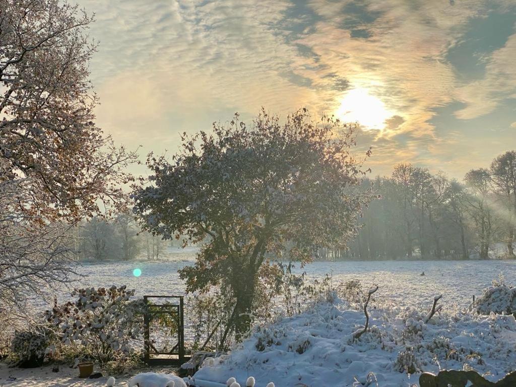 Haus Des Faultiers Lägenhet Stade Exteriör bild